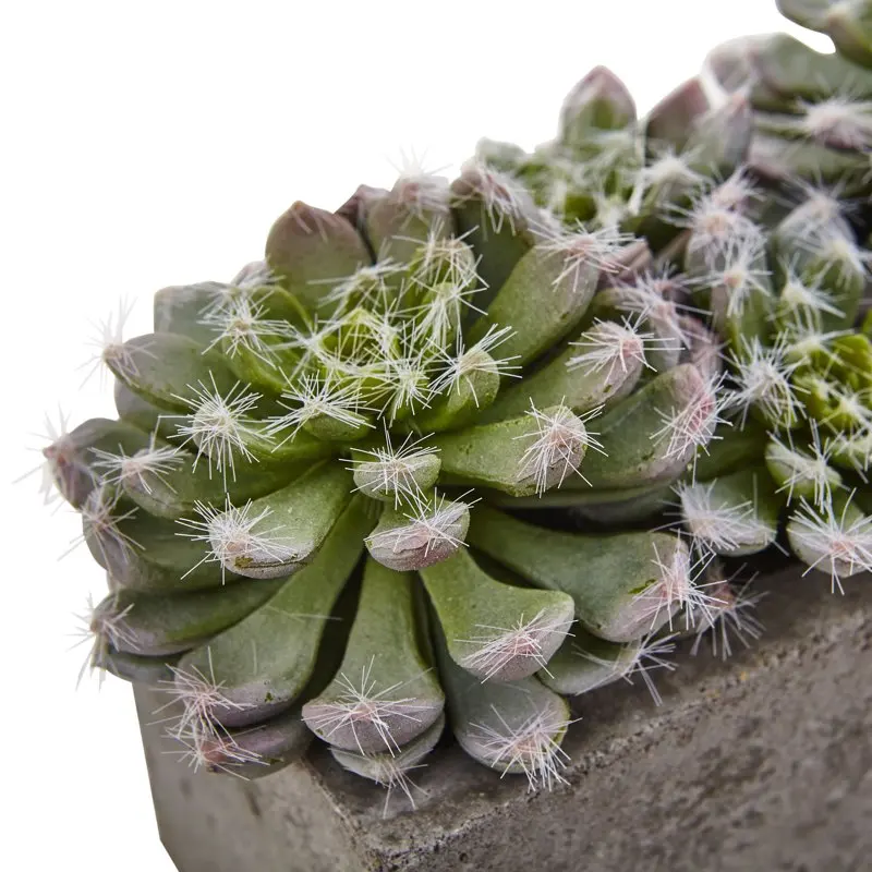 

Trendy Textured Concrete Planter with Realistic Artificial Garden Plant, Green