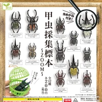 gashapon capsule toy yell gachapon insects model table decoration simulated uang unicorn beetle toy scarab collect specimen