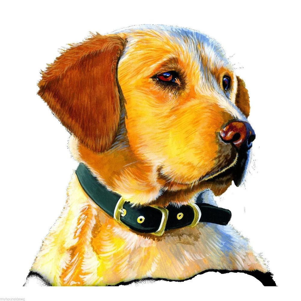 

Hot Sale Super Fashion Summer Casual Man T Shirt Good Quality Golden Retriever T-Shirt Men Custom Aldult Teen Unisex Classic