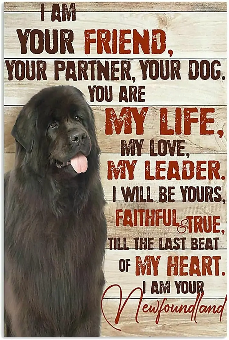 Металлическая жестяная вывеска Я твой друг ваш партнер ваша собака Ньюфаундленд
