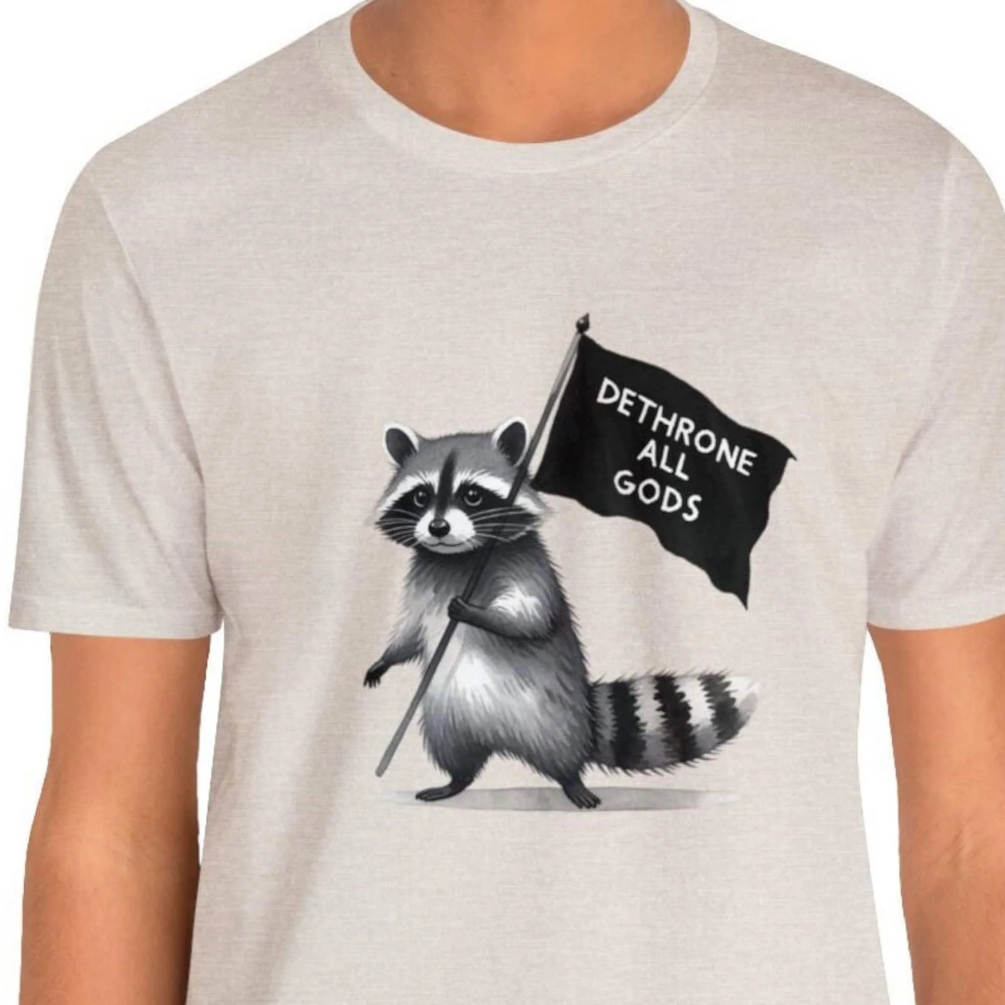 Забавный енот видеоигра мем пресекать всех богов атеист Лесной анархист