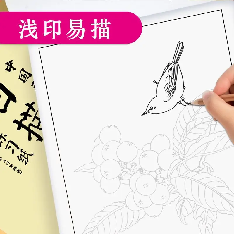 

Primary School Art Sketch Copy Template Chinese Painting White Drawing Pattern Album Textbook Zero Basic Beginner Coloring Book