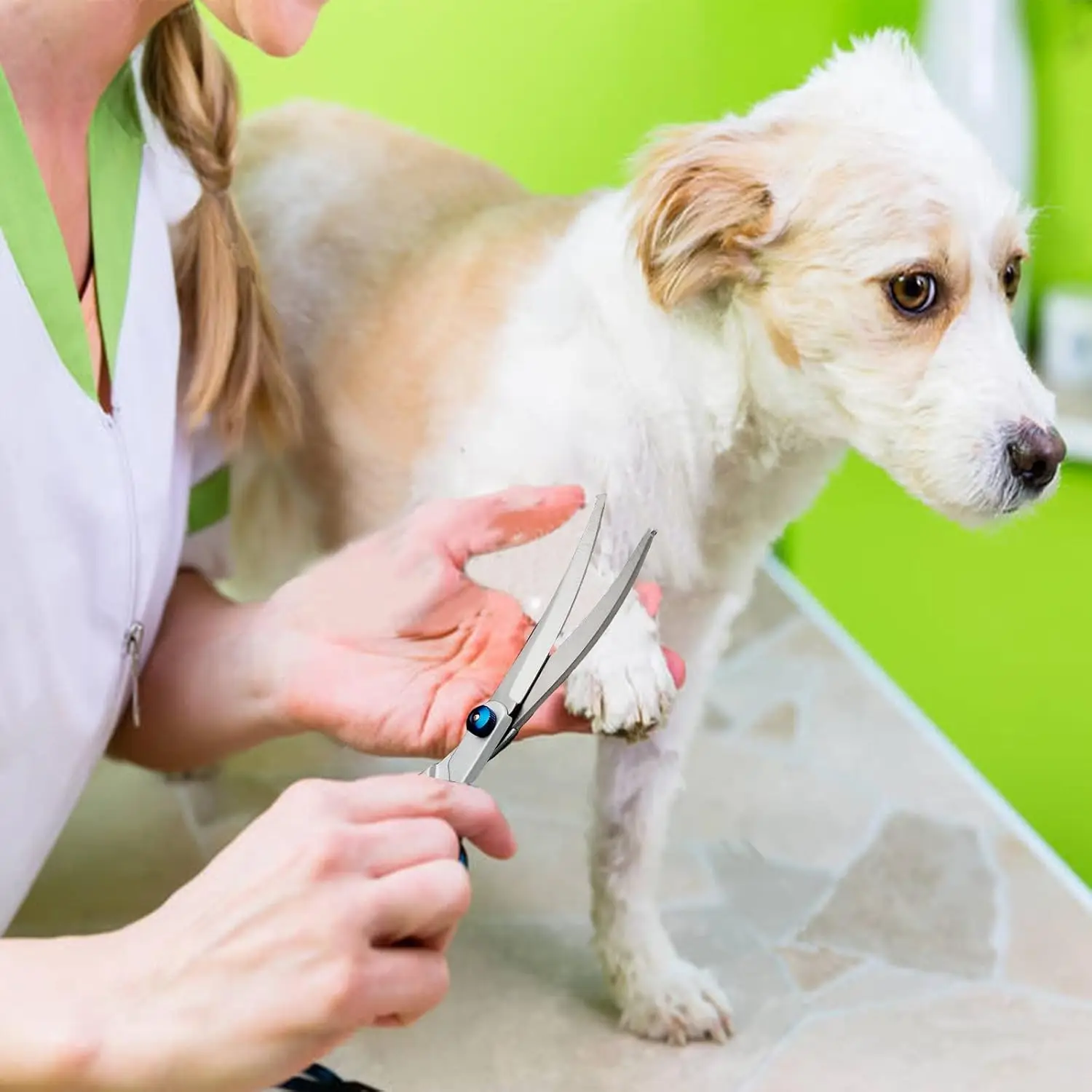 Набор ножниц премиум-класса для ухода за домашними животными — безопасный