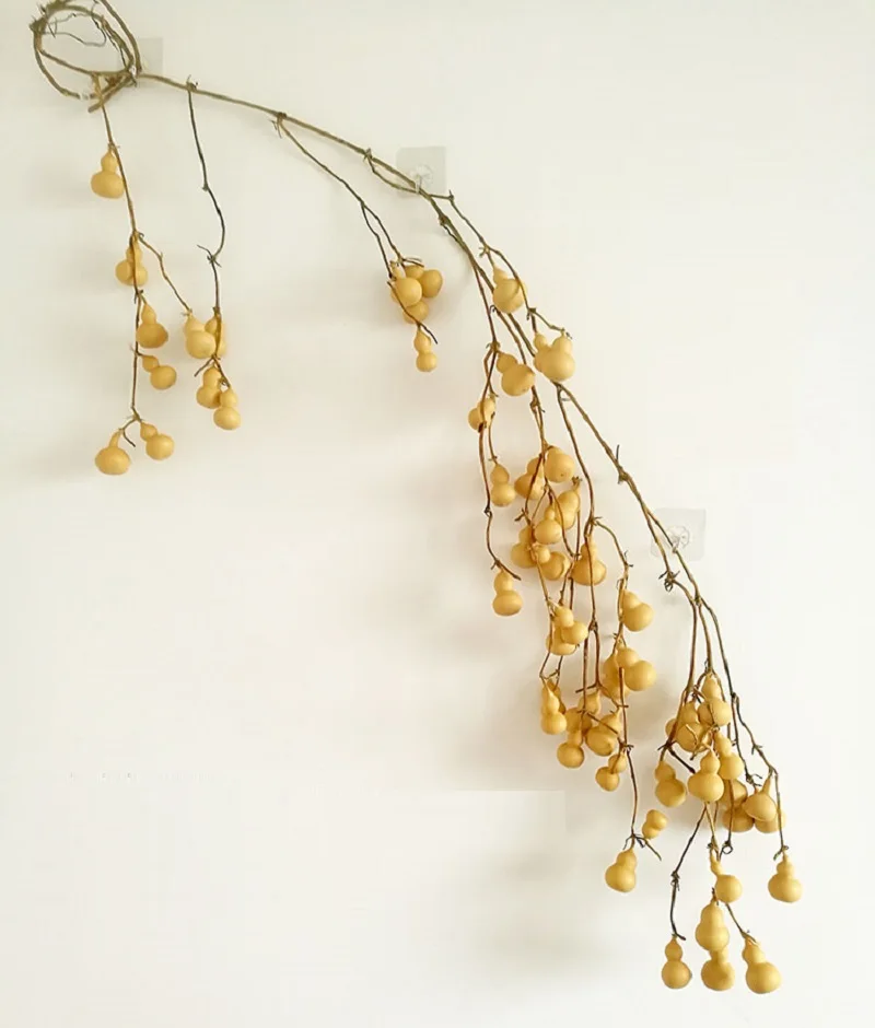 

1 String Gourd Branch Natural Rattan Feng Shui Good Luck Living Room Pendant