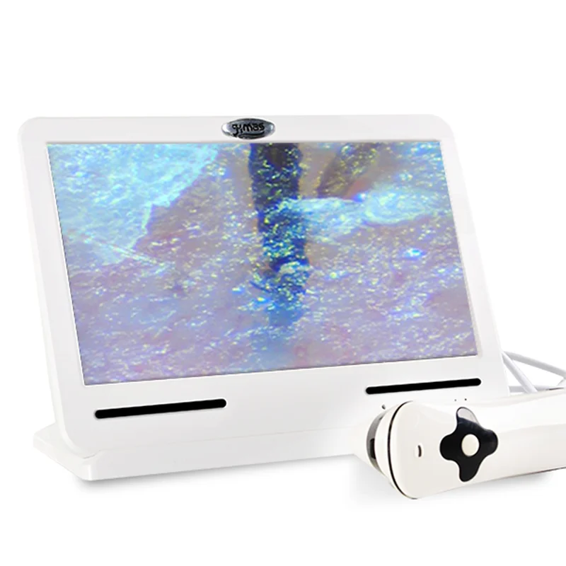 

Professional 3D Smart 10.1-inch Screen Smart Portable Beauty Apparatus Hair machine facial Skin Test Skin Analyzer