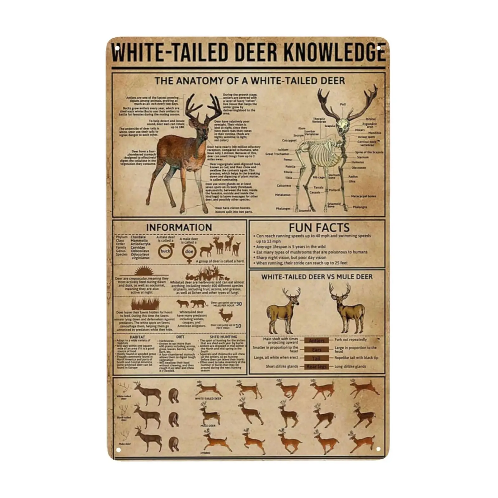 Металлические жестяные знаки с белым хвостом оленя охотничьи знания плакат