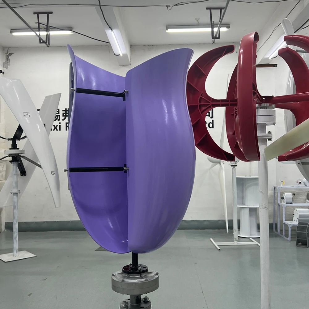 2 лезвия 10 кВт Вертикальная ось Перманентный маленький ветряной турбины maglevв