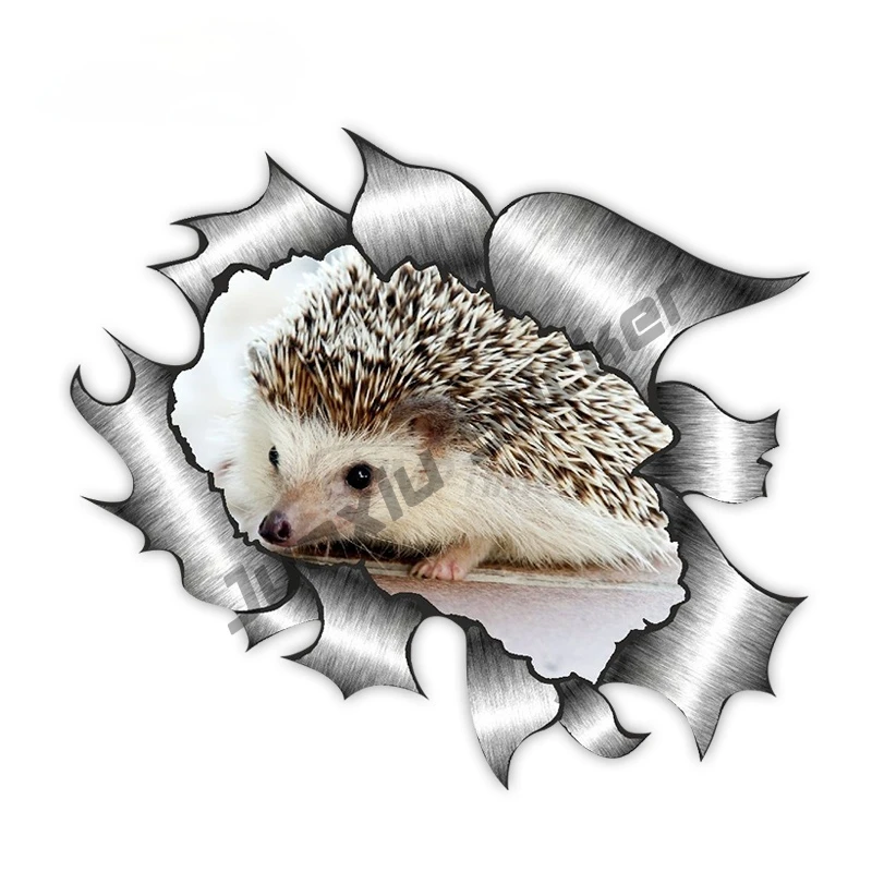 

Ripped Torn Metal Design With Cute Hedgehog Motif External Vinyl Car Sticker for Windows Bumper SUV Fine Decal Decor KK13x13cm