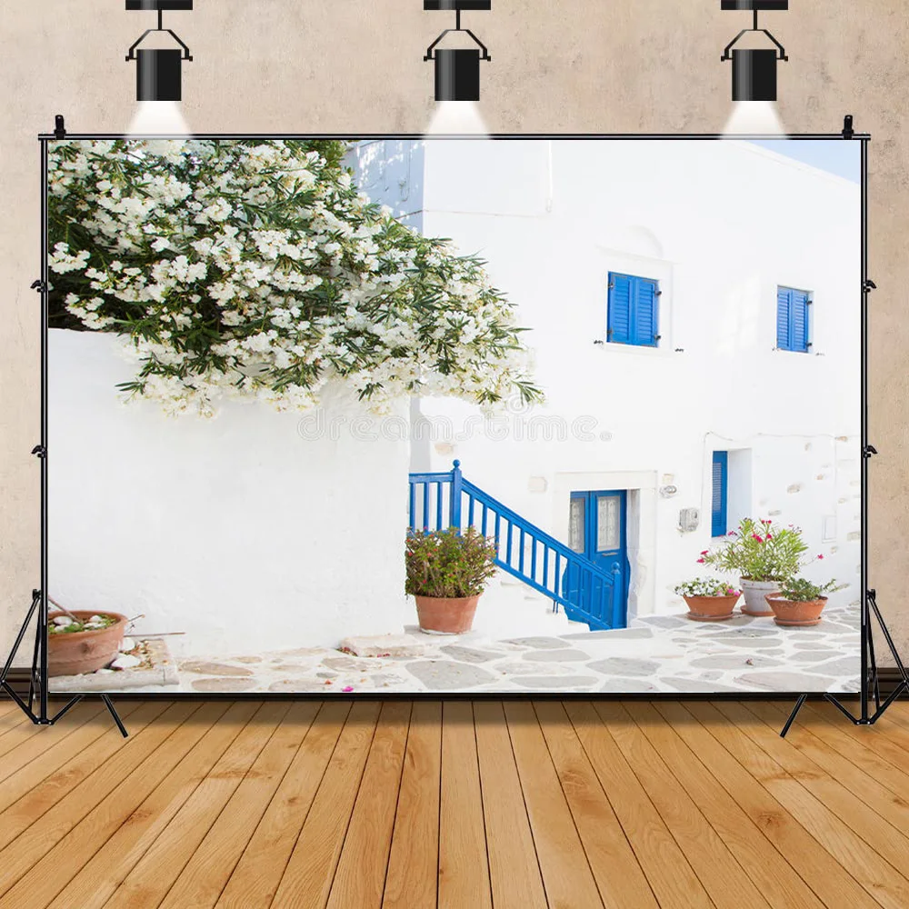 

Vinyl Custom European Style Retro Street Seaside Scenery Wedding Photos Newborn and Pet Photography Background Props DR-01