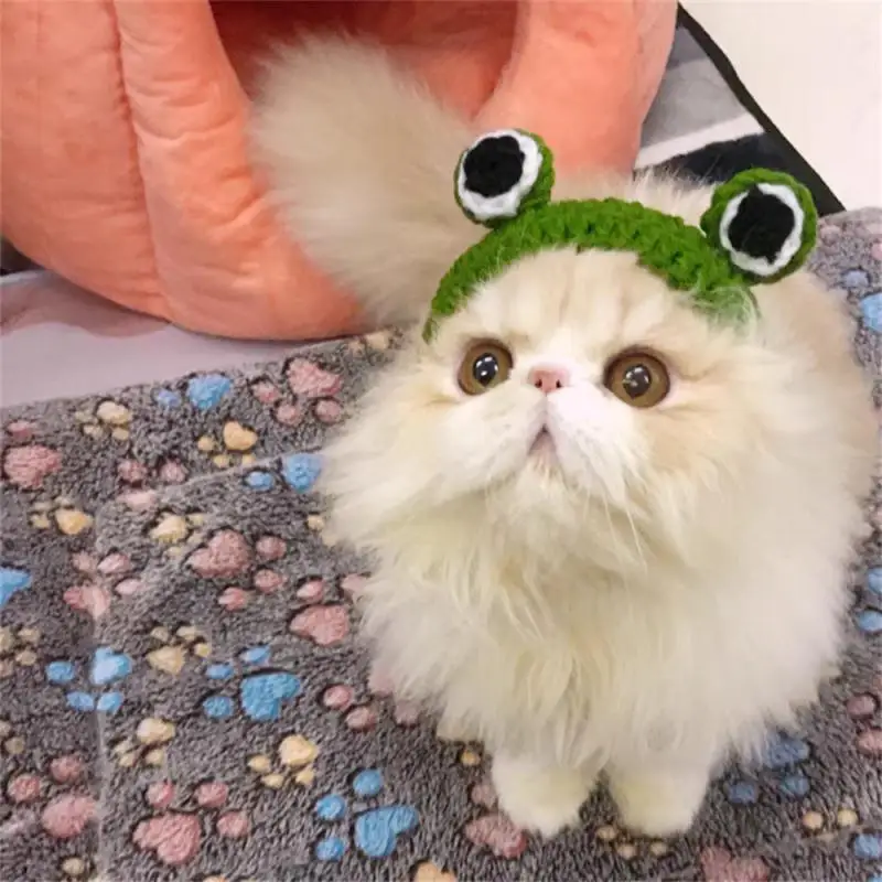 

For Cats Dogs Cute Cat Cap Cosplay Accessories Knitted Handmade Hat For Party Photo Shoot Props Decoration Funny Pet Hat New