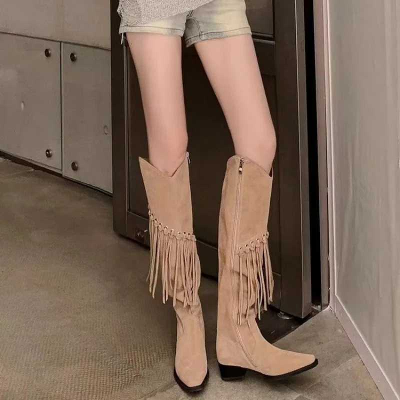 

New Women High Boots Fashion Fringed Western Cowboy Boots Retro Winter Pointed Toe Thick Heel Women's Boots Autumn Female Shoes
