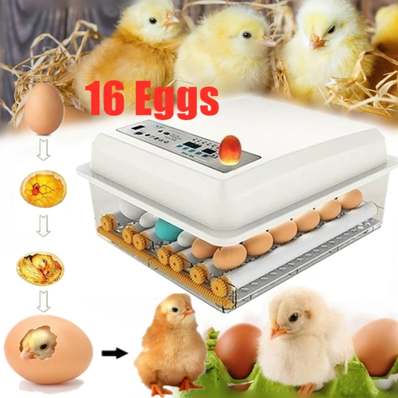 

Digital Egg Incubator Hatcher Temperature Control Automatic Turning Brooder Hatcher for Hatching Turkey Goose Quail Chicken Eggs