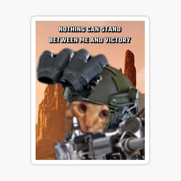 

Victory 5PCS Stickers for Water Bottles Decorations Anime Stickers Window Luggage Room Car Funny Wall Laptop Decor Kid Bumper