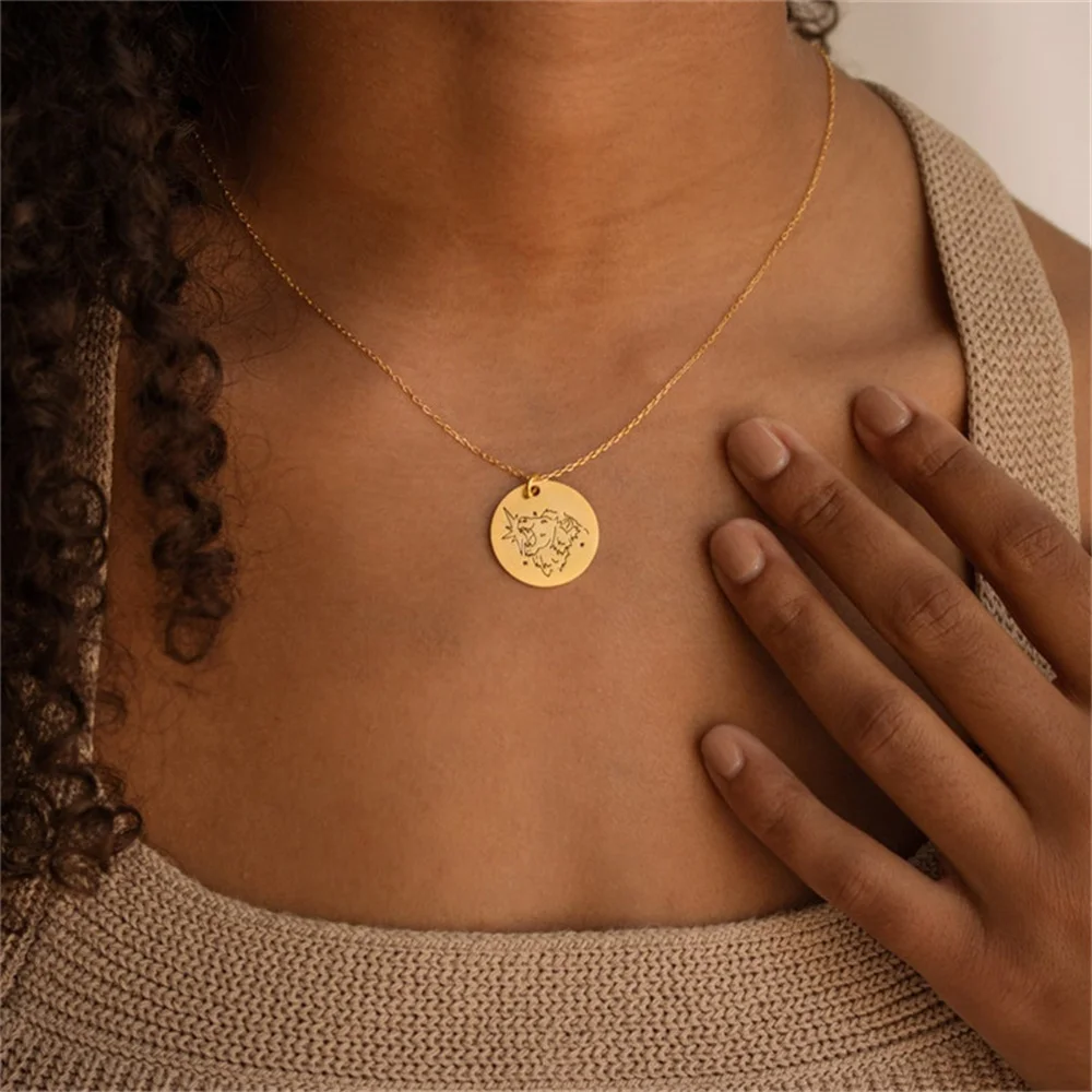 Minimalist Men's And Women's Identical Necklace Twelve Constellations Jewelry Stainless Steel Medal Pendant Necklace Gift Wholes