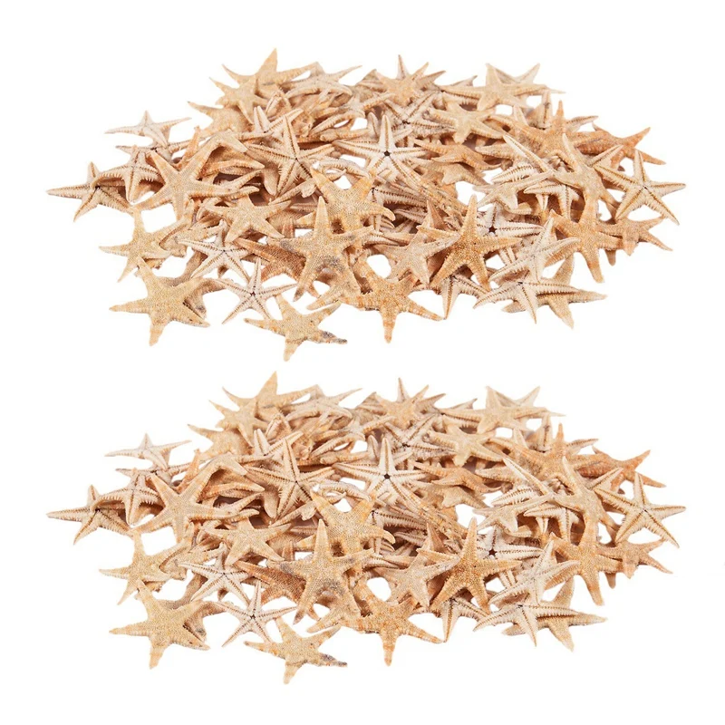 

Small Starfish Star Sea Shell Beach Craft 0.4 Inch-1.2 Inch 180 Pcs