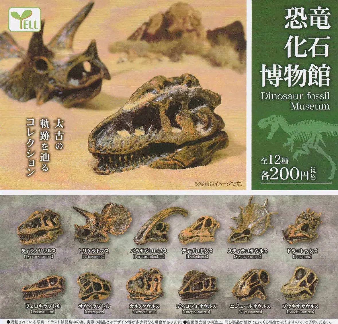 

YELL capsule toys Dinosaur Fossil Museum gashapon figures Terrarium Aquarium fish tank Decor
