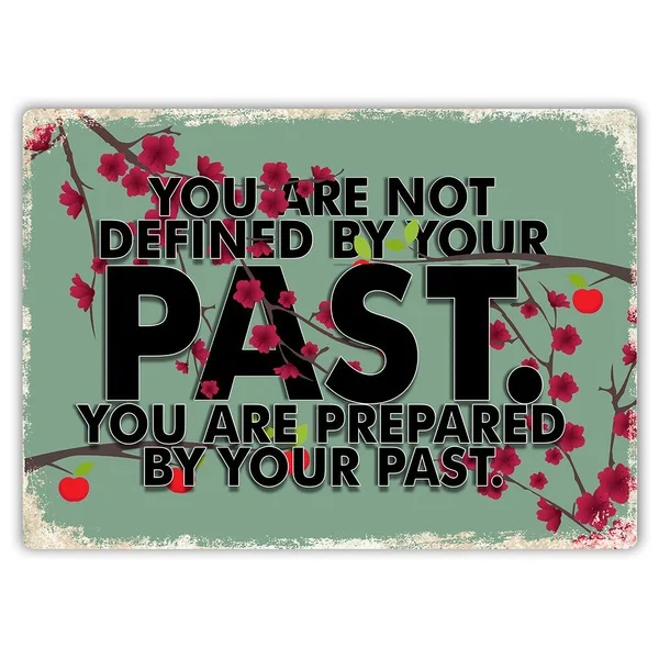 

You Are Not Defined By Your Past Tin Sign art wall decoration,vintage aluminum retro metal sign,