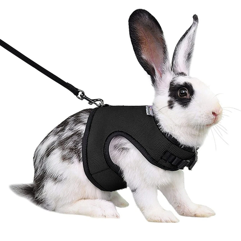 Adjustable Soft Harness with Elastic Leash for Rabbits S/M/L