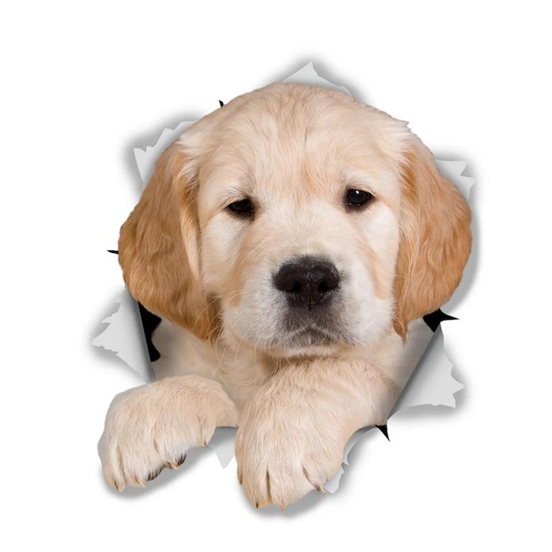 Милый золотистый ретривер, автомобильная наклейка, виниловая наклейка, водонепроницаемые аксессуары на бампер, заднее стекло, ноутбук