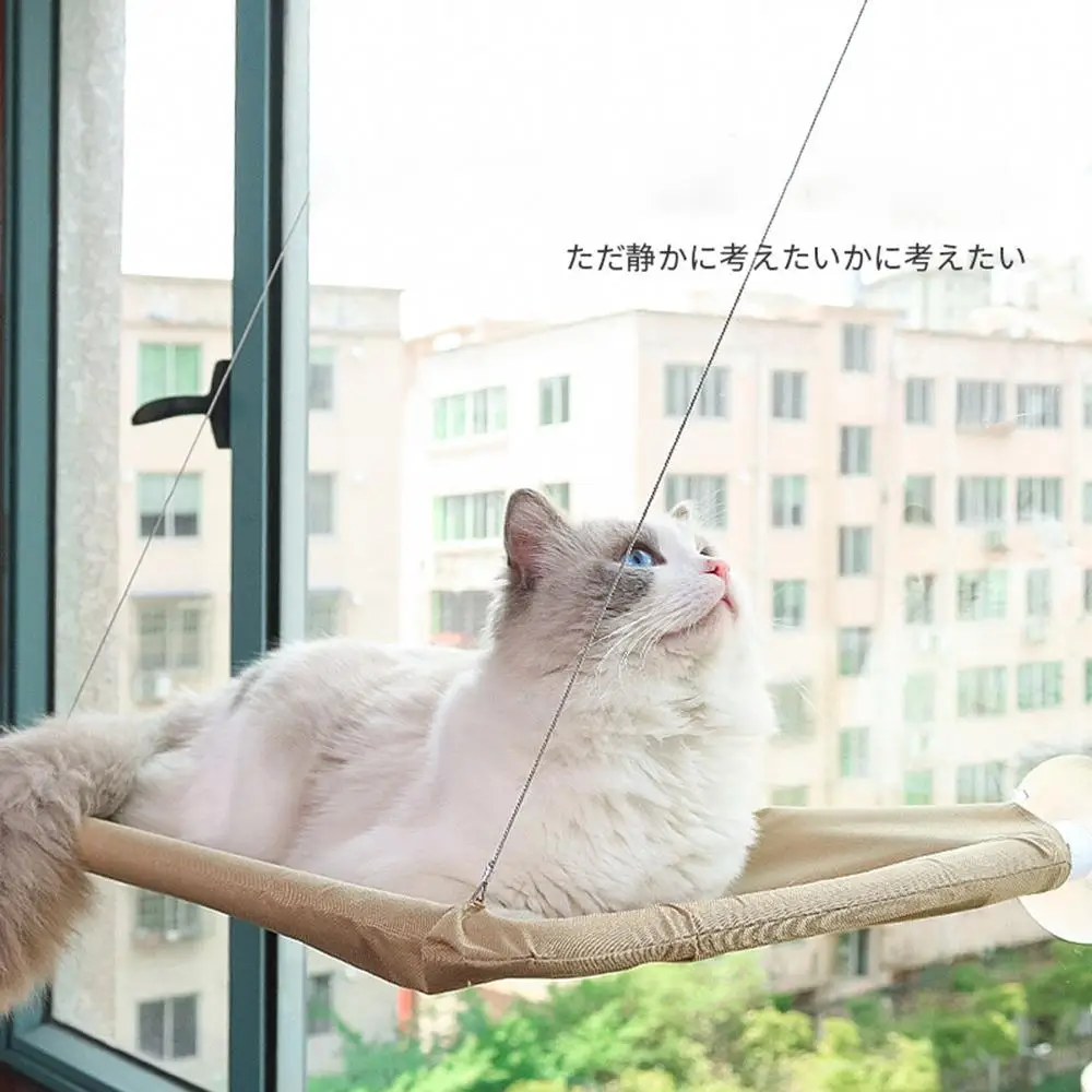 

Pet Hammock Aerial Hanging Cat Bed Bed House Kitten Climbing Frame Sunny Window Seat Nest Bearing 15Kg Cats Accessories
