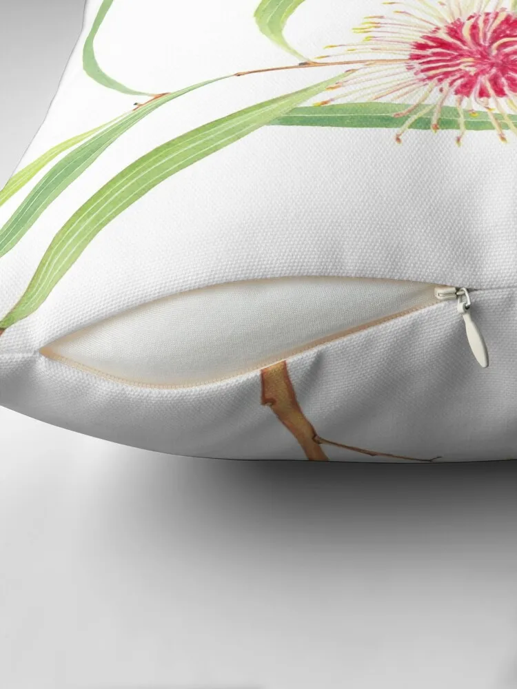 Pincushion Hakea (Hakea laurina) акварель Австралийский цветок декоративная подушка для дивана