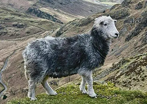 

Дорожная маркировка Радужный пейзаж художественный настенный печатный плакат жестяной знак