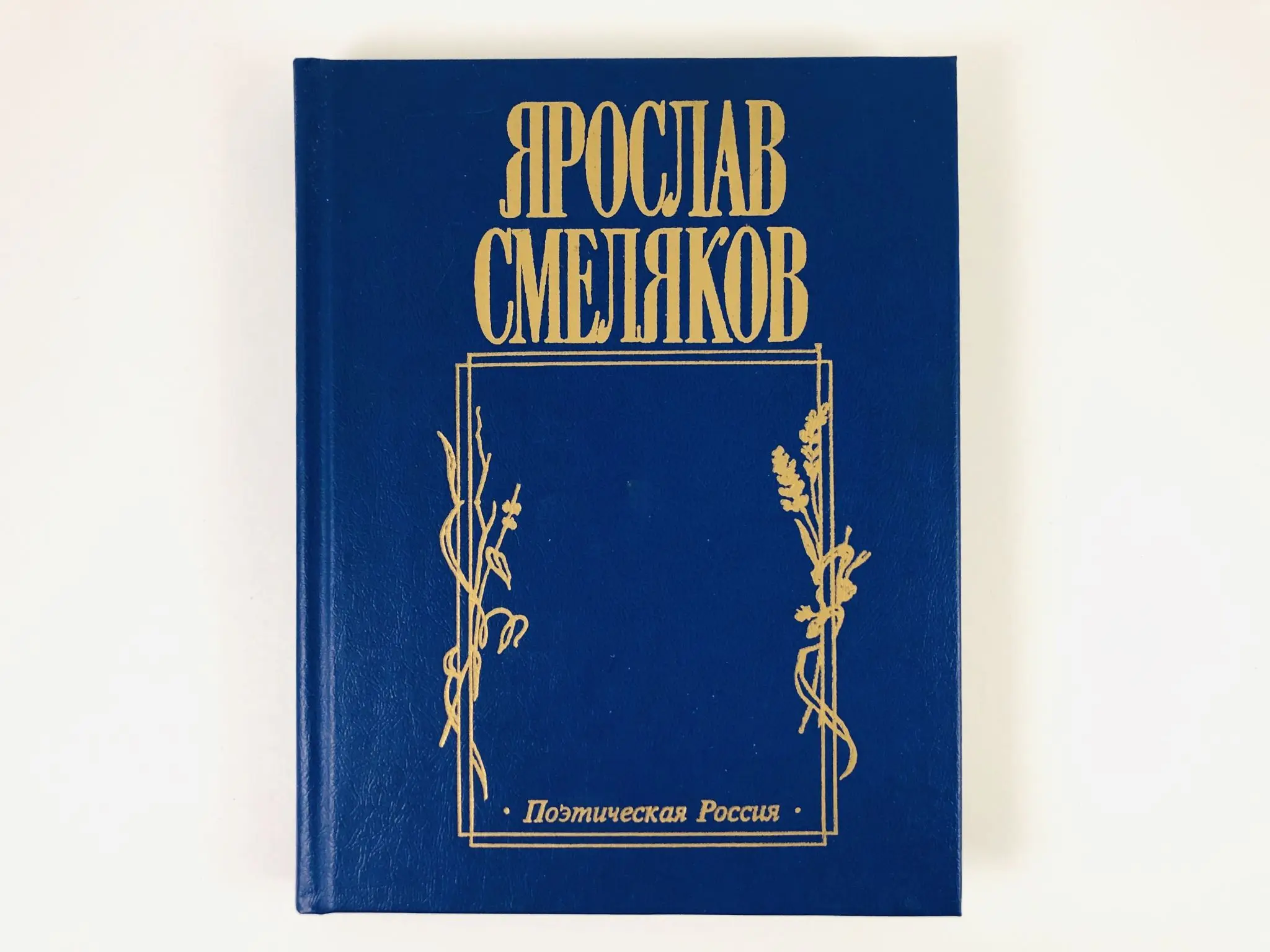 смеляков лида