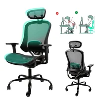 Office Chair Swivel Task Armchair High Back Breathable Mesh with 3D Armrest Adjustable Headrest Lumbar Support Max Load 300lbs