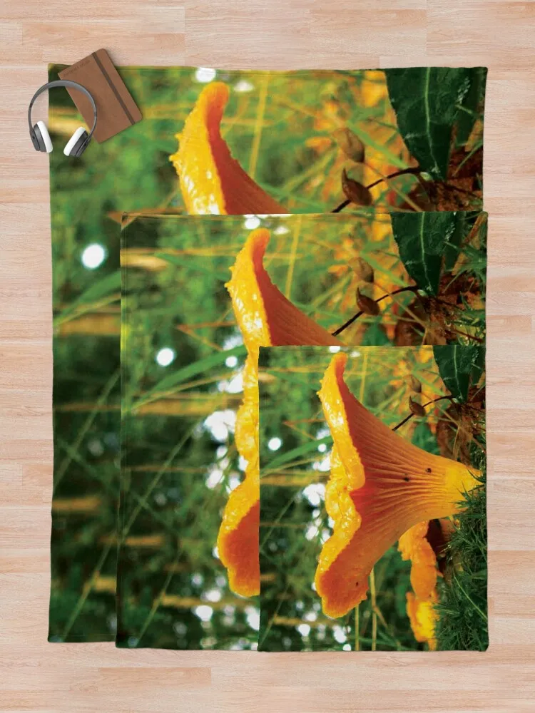 Золотой чайник Гриб в лесу дикой еды Плед Фланелевая ткань Мягкие одеяла