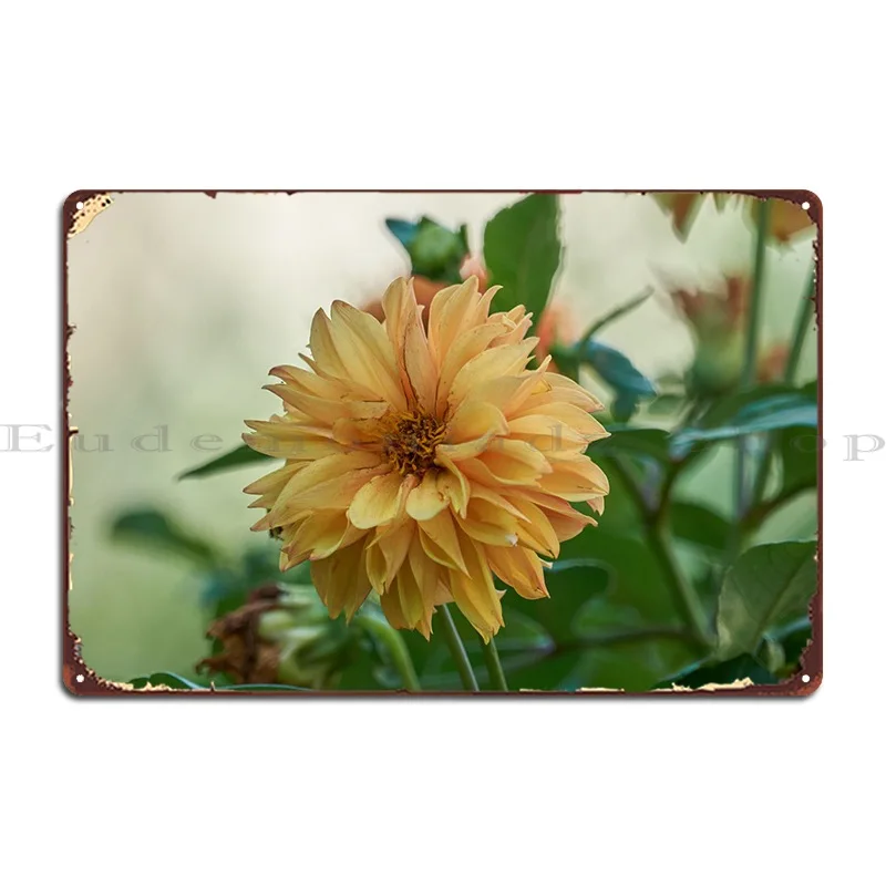 

Декоративный Металлический плакат с надписью «Dahlia In The Garden»