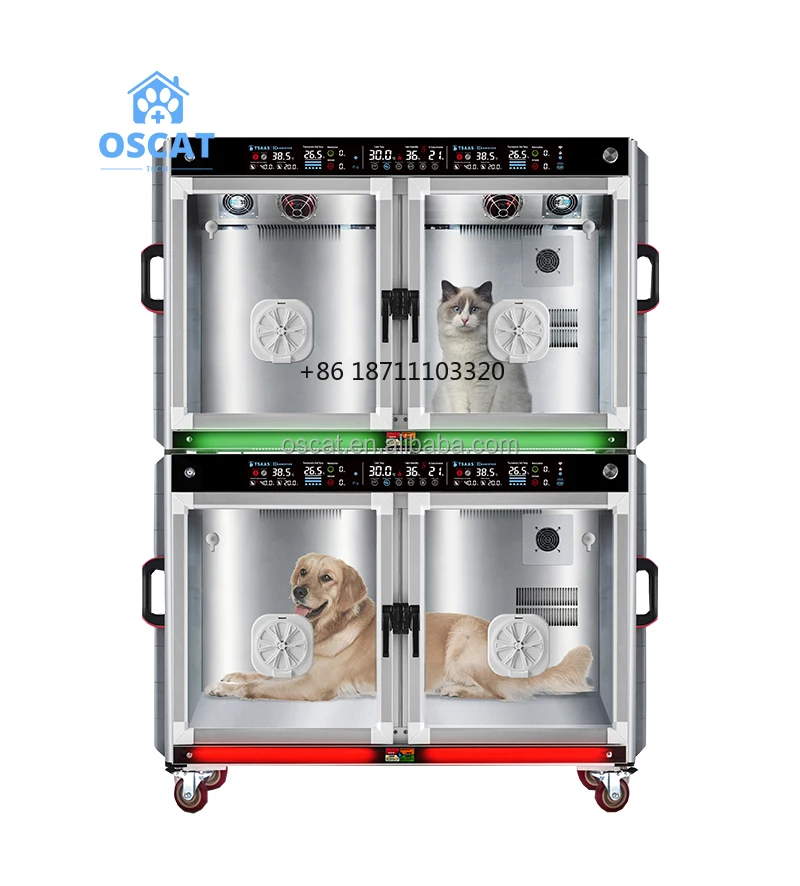 Оборудование для ветеринарного лечения животных В ветеринарной клинике