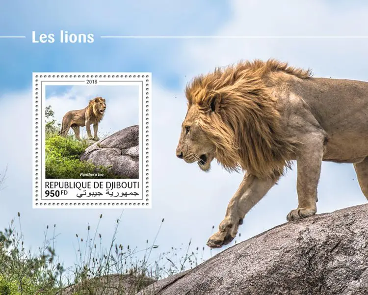 

Djibouti Post Stamp,2018,Les Lions,Animal Stamp,Real Original,High Quaility,Stamp Collection,Good Condition Collection
