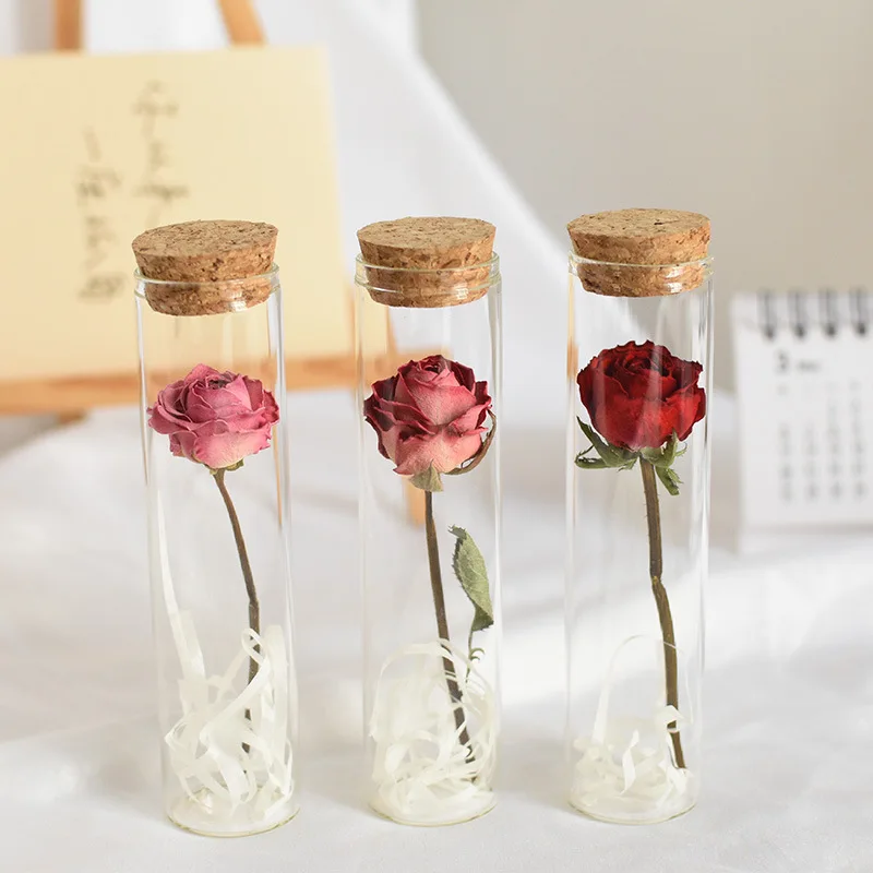 Handmade Preserved Real Flowers Dry Flowers in Glass Bottle Test Tube Dried Flower Rose Mini Wishing Bottle Valentine's Day Gift