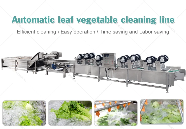 

Air-Blowing Type/Bubble Surfing Washing Machine for Fruit and Vegetable Processing Line