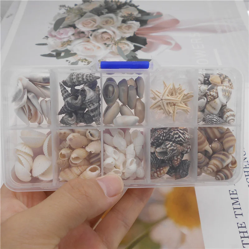 

170PCS/Box Mixed Natural Sea Shell Conch Starfish Charms For Aquarium Landscape Ornament Home Decor DIY Jewelry Accessory