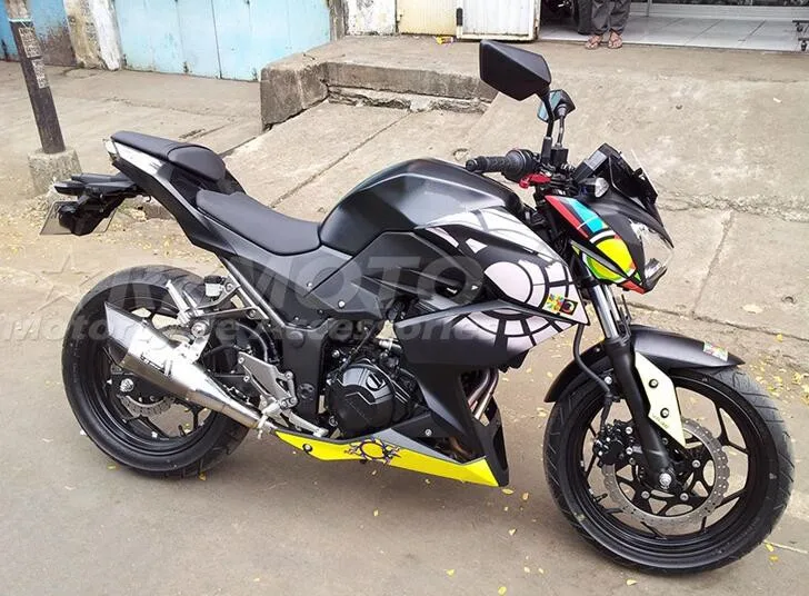 

New ABS Fairings Kit Fit For Kawasaki Ninja Z250 Z300 2013 2014 2015 2016 2017 2018 13 14 15 16 17 18 Bodywork Set Custom