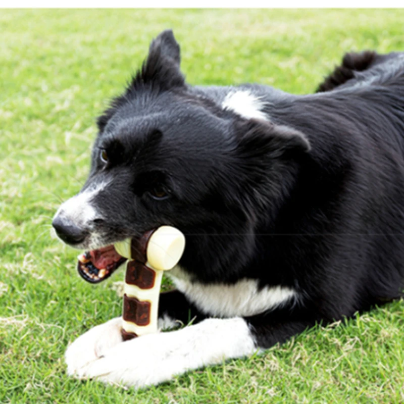 

Pet dog molars toys with meat flavored nylon starch bone toys to dogs clean their teeth Bite resistant Small Large dog Supplies
