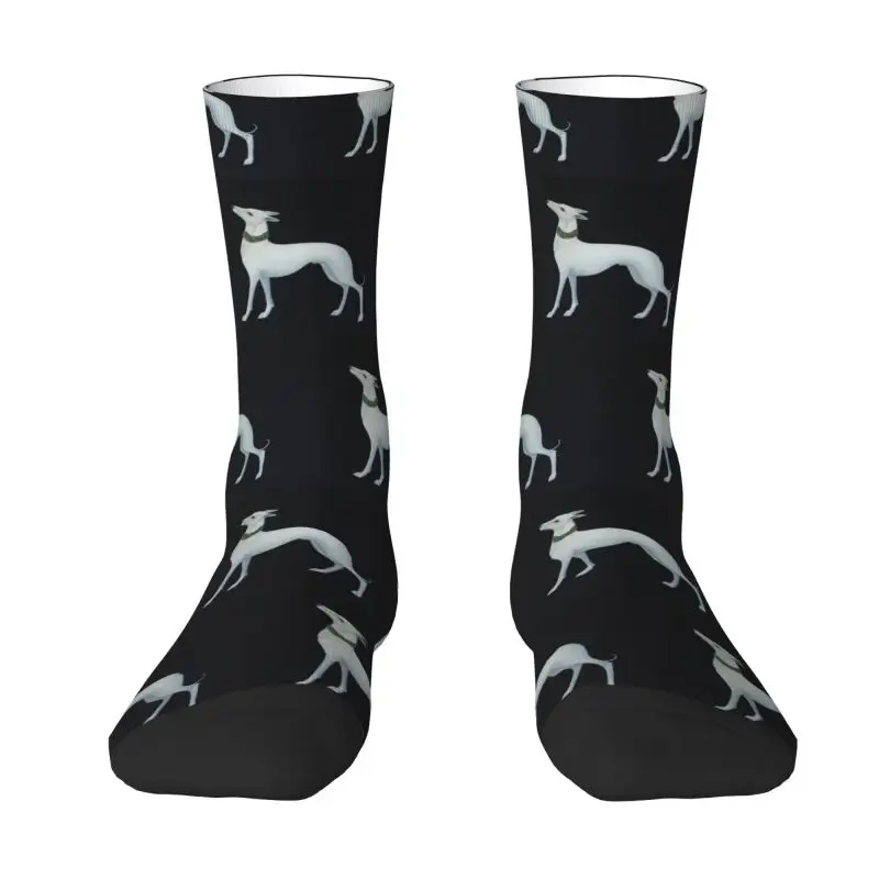 

Милые мужские и женские носки унисекс Greyhound, милые белые носки для весны, лета, осени, зимы