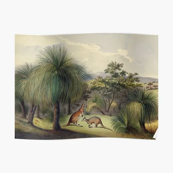 Травяные деревья в Yankallilla с красным плакатом картина Картина смешное украшение