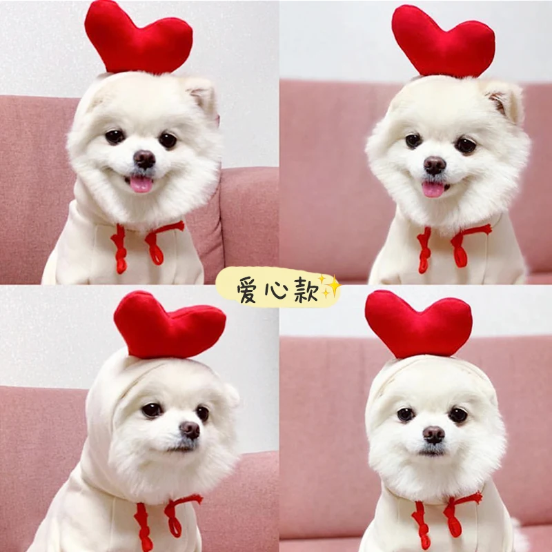 Новинка на раннюю осень свитер для любимых питомцев Тедди Бишон фриус