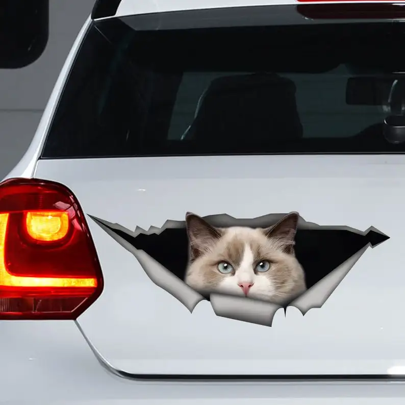 

Cute cat car decal, Ragdoll car decal, Ragdoll cat magnet