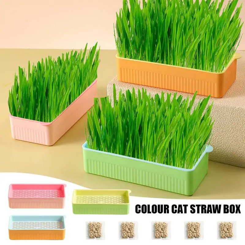 

Pet Catgrass Hydroponic Set Grass Planting Box S Elf Watering Cat Grass Kit Elf Watering Cat Grass Kit Cat Grass Planter
