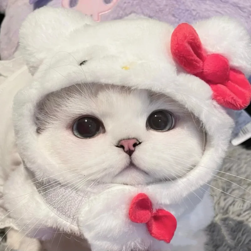 

Кавайная плюшевая шапка Sanrio для домашних животных, милая моя мелодия, коричная чарушка, мультяшное аниме, искусственная игрушка для девочек...