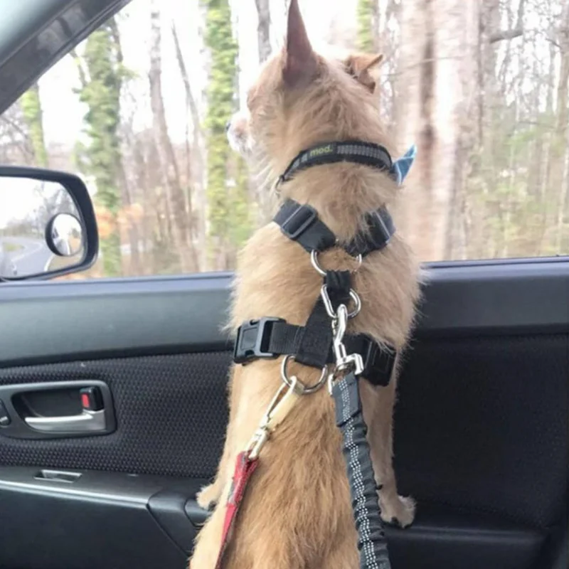 

Pet Supplies Dog Seat Belt Dog Rope Car Seat Belt Adjustable Cushion Elastic Reflective Safety Rope Dog Cat Safety Traction Rope