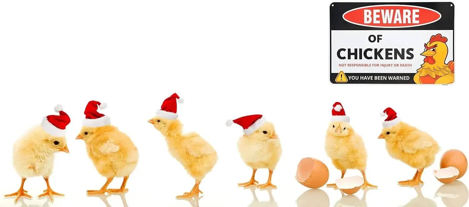 Знаки Венециорского курятника — 8 x 12 дюймов подарки для влюбленных забавный