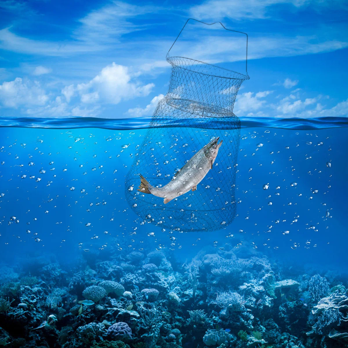 

Fish Trap Net Collapsible Fish Cage Collapsible Fishing Net Fish Landing Net Floating Fishing Basket Fishing Net Fishing tackle