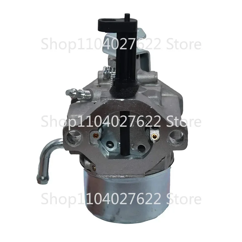 Применимо к Брайтону 715782 715783 715525 715494 715390 Карбюратор GM401P