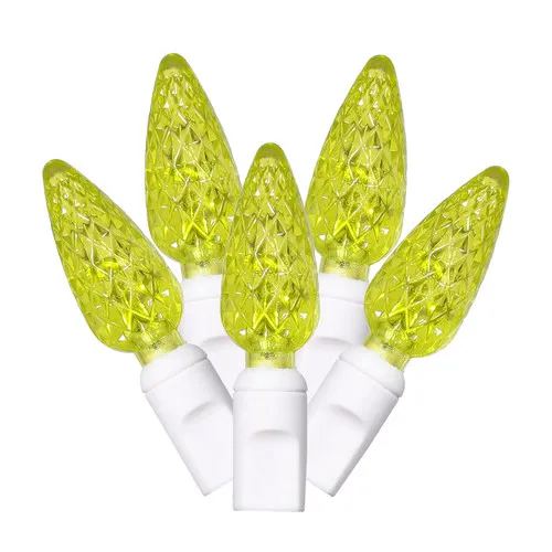 

Free Shipping 50 Light LED Light Set