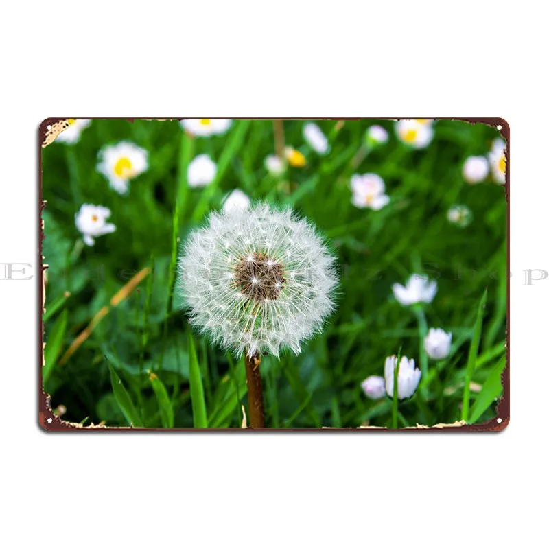 

Dandelion In Summer Metal Plaque Pub Garage Decoration Garage Character Garage Tin Sign Poster