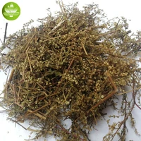 natural artemisia annuaartemisia odora dry improve kidney function artemisia annuae herba anti cancer effects qinghao